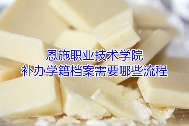 恩施职业技术学院补办学籍档案需要哪些流程