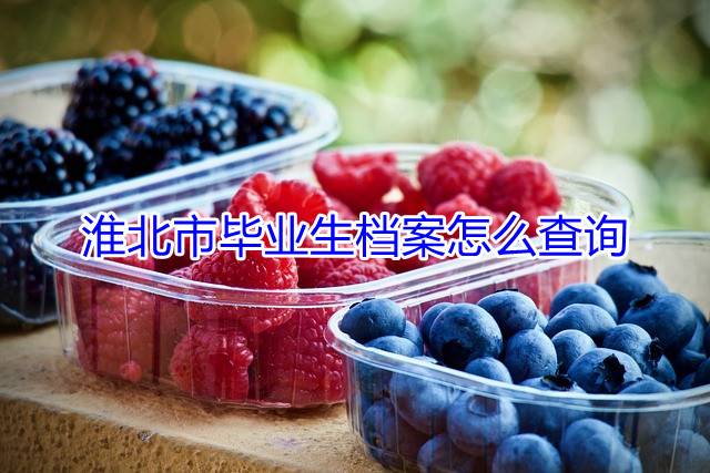 淮北市毕业生档案怎么查询