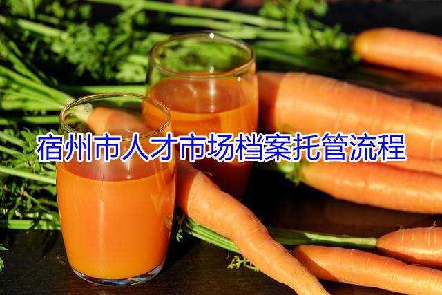 宿州市人才市场档案托管流程