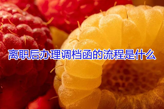 离职后办理调档函的流程是什么
