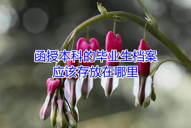 函授本科的毕业生档案应该存放在哪里