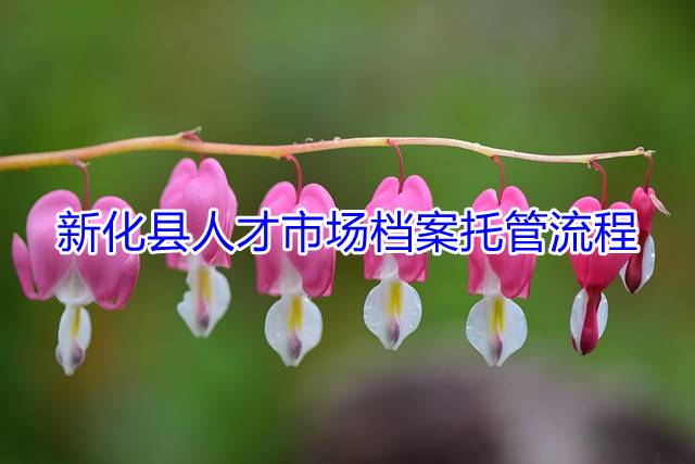 新化县人才市场档案托管流程