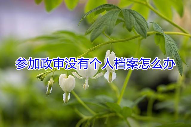 参加政审没有个人档案怎么办