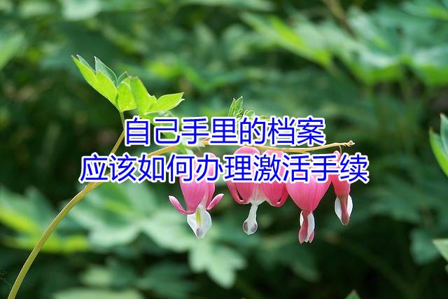 自己手里的档案应该如何办理激活手续