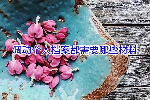 调动个人档案都需要哪些材料