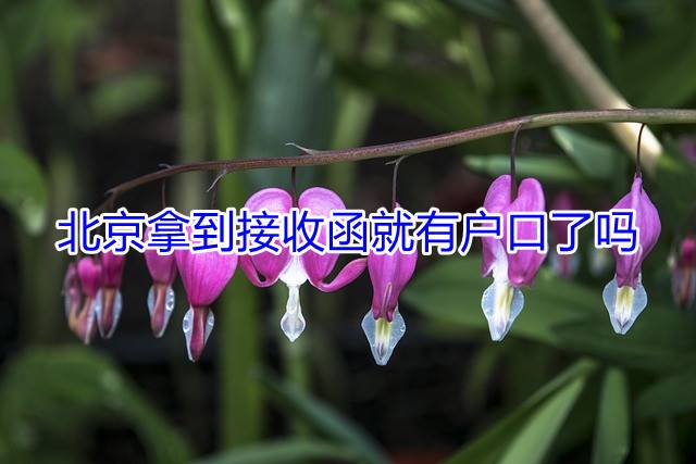 北京拿到接收函就有户口了吗