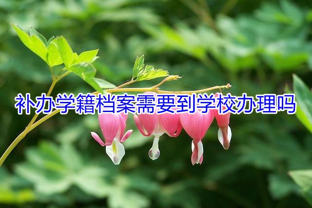 补办学籍档案需要到学校办理吗