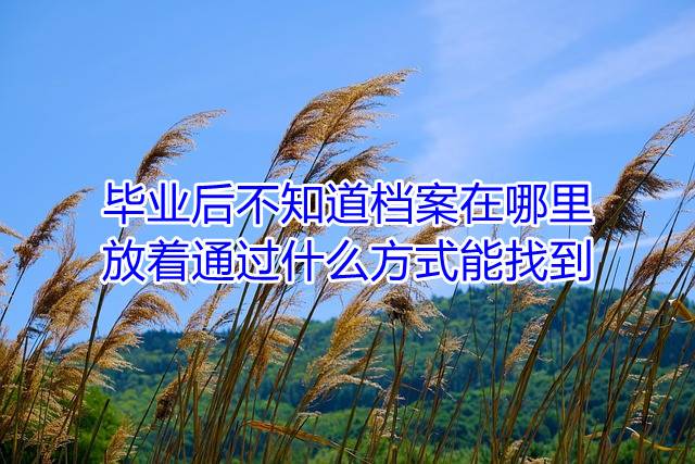毕业后不知道档案在哪里放着通过什么方式能找到