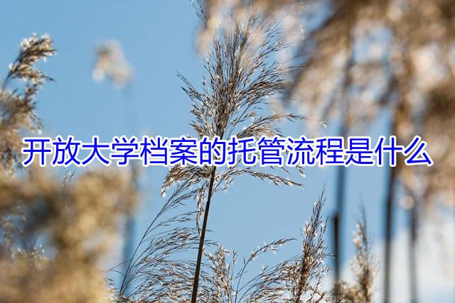 开放大学档案的托管流程是什么