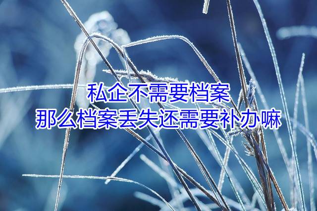 私企不需要档案，那么档案丢失还需要补办嘛