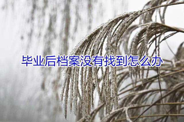 毕业后档案没有找到怎么办
