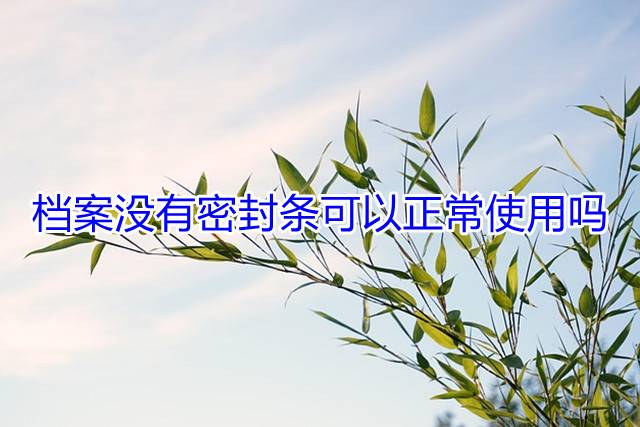 档案没有密封条可以正常使用吗