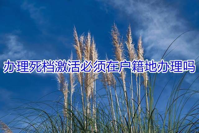 办理死档激活必须在户籍地办理吗