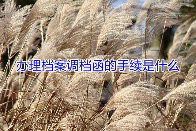 办理档案调档函的手续是什么