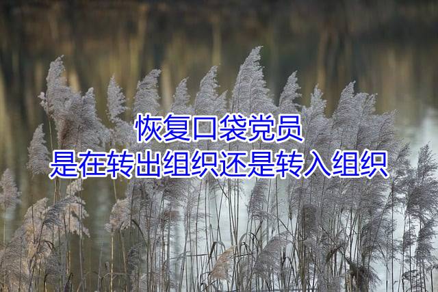 恢复口袋党员是在转出组织还是转入组织