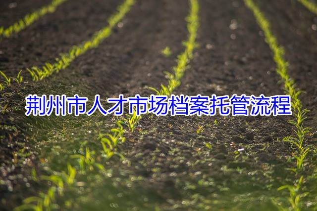 荆州市人才市场档案托管流程