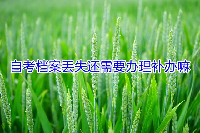 自考档案丢失还需要办理补办嘛