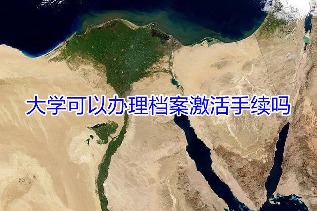 大学可以办理档案激活手续吗