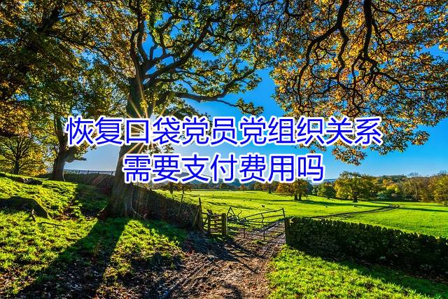 恢复口袋党员党组织关系需要支付费用吗