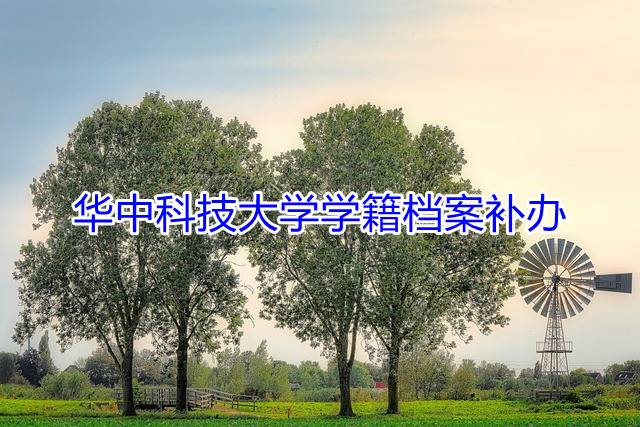 华中科技大学学籍档案补办