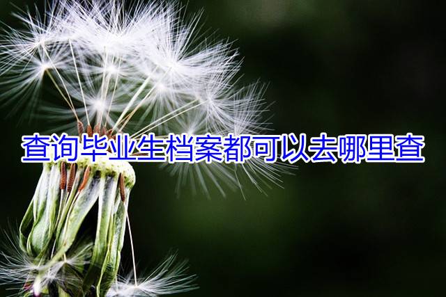 查询毕业生档案都可以去哪里查