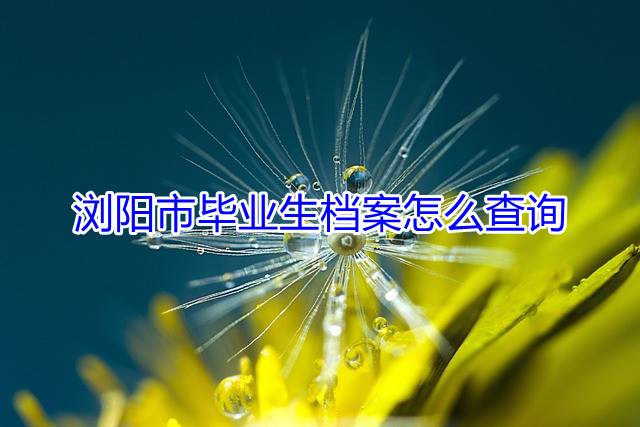 浏阳市毕业生档案怎么查询