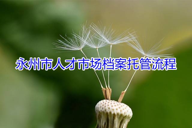 永州市人才市场档案托管流程