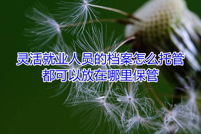灵活就业人员的档案怎么托管，都可以放在哪里保管