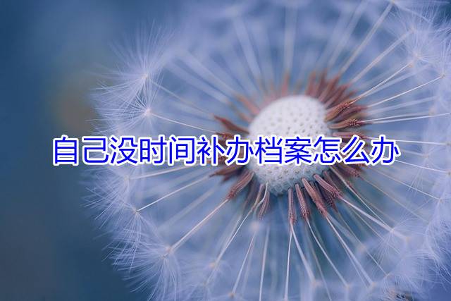 自己没时间补办档案怎么办