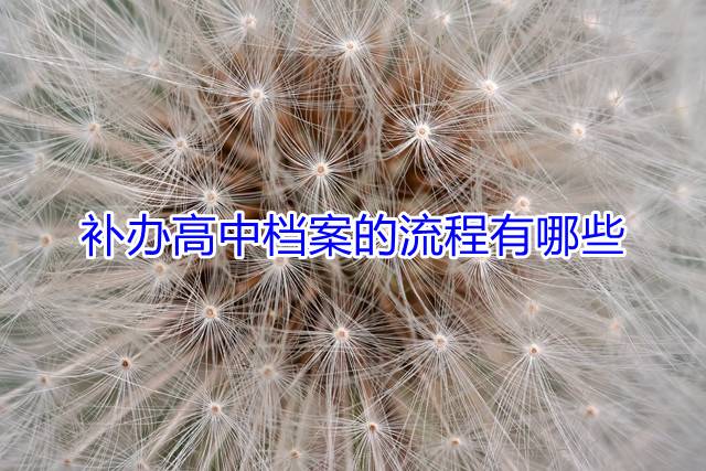 补办高中档案的流程有哪些