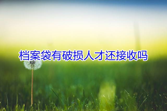 档案袋有破损人才还接收吗