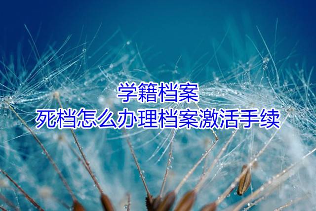 学籍档案死档怎么办理档案激活手续