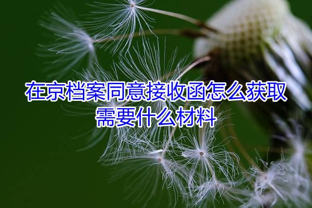 在京档案同意接收函怎么获取，需要什么材料
