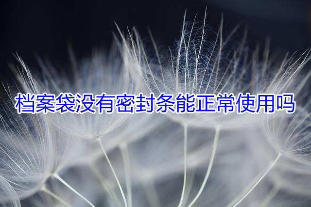 档案袋没有密封条能正常使用吗
