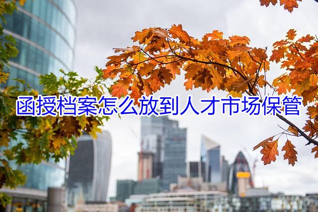 函授档案怎么放到人才市场保管