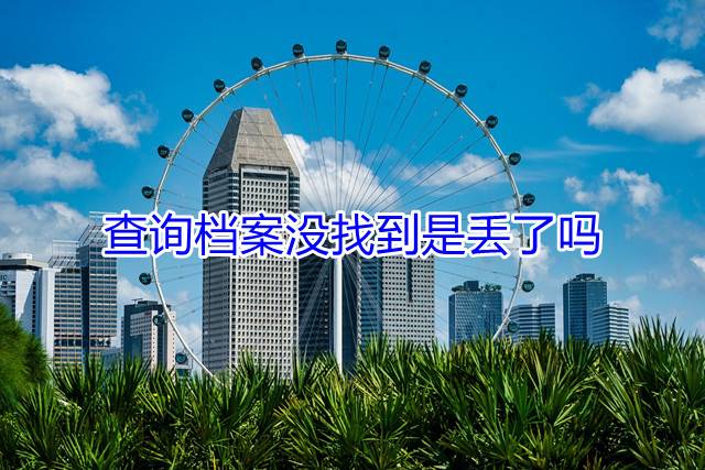 查询档案没找到是丢了吗