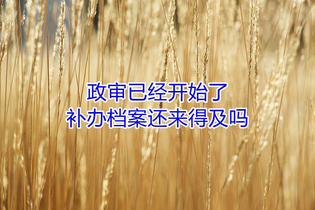 政审已经开始了补办档案还来得及吗