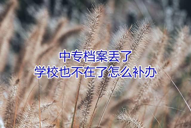 中专档案丢了，学校也不在了怎么补办