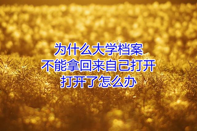 为什么大学档案不能拿回来自己打开，打开了怎么办