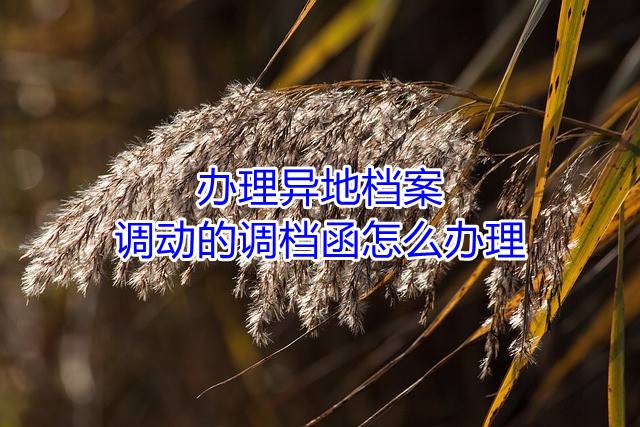 办理异地档案调动的调档函怎么办理