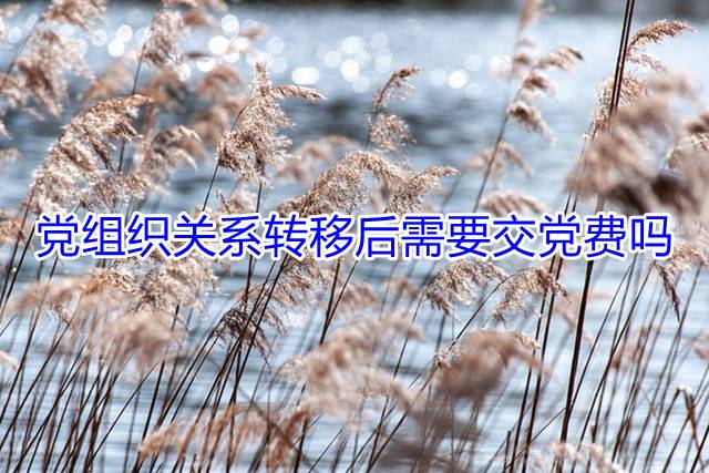 党组织关系转移后需要交党费吗