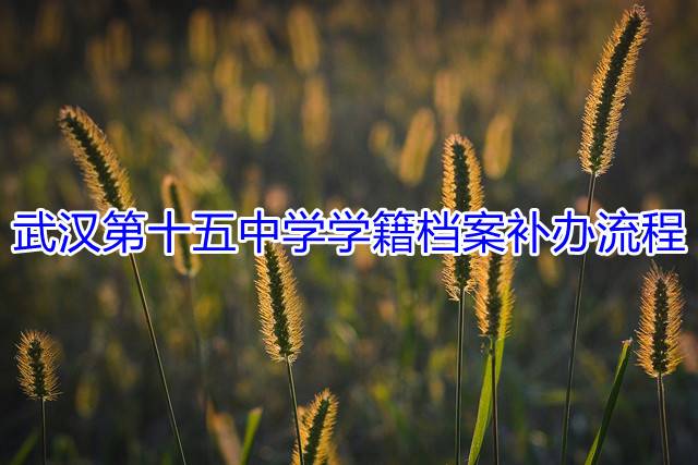 武汉第十五中学学籍档案补办流程