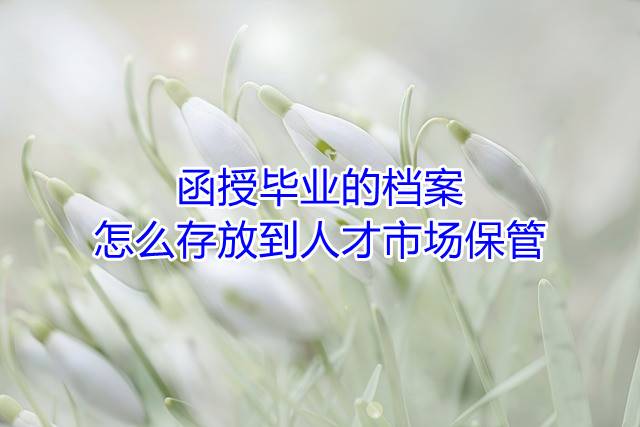 函授毕业的档案怎么存放到人才市场保管