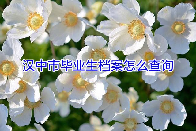 汉中市毕业生档案怎么查询