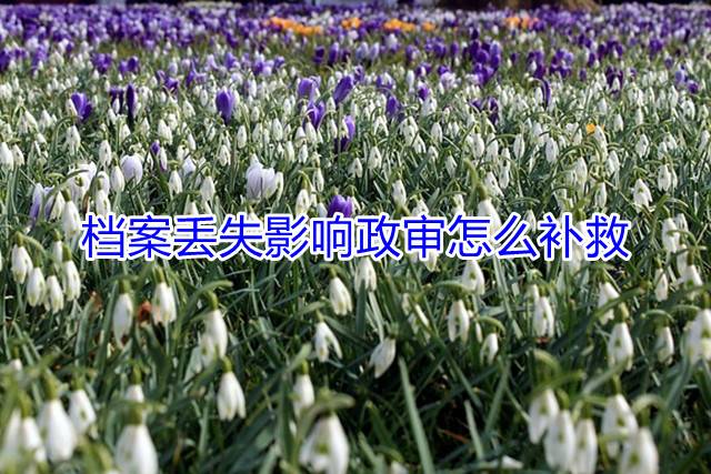 档案丢失影响政审怎么补救