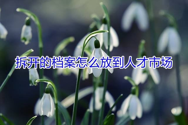 拆开的档案怎么放到人才市场