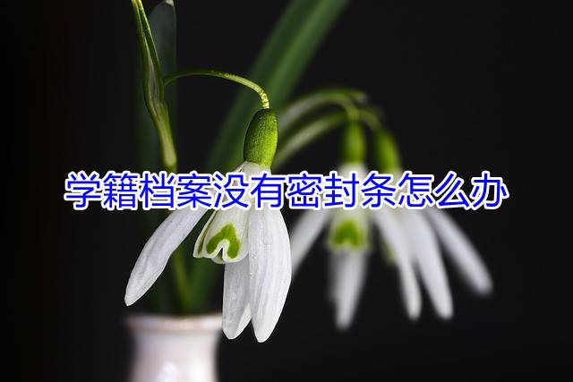 学籍档案没有密封条怎么办