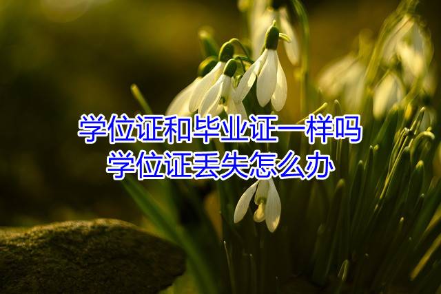 学位证和毕业证一样吗，学位证丢失怎么办
