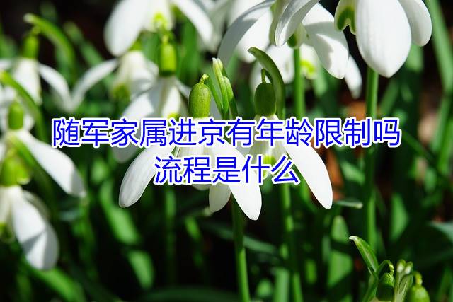 随军家属进京有年龄限制吗，流程是什么