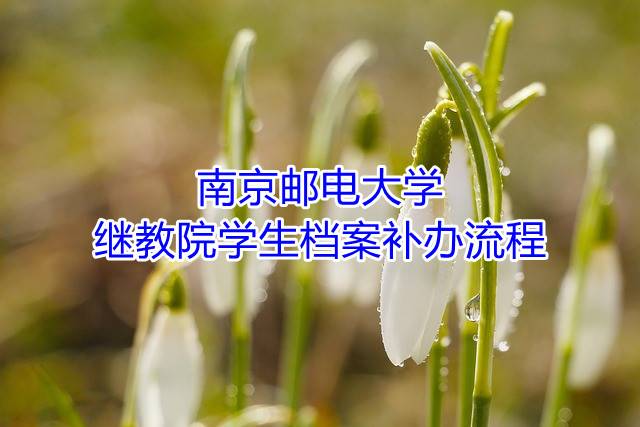 南京邮电大学继续教育学院学生档案补办流程